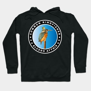 Hungry Common Kingfisher (Alcedo Atthis) Bird Hoodie